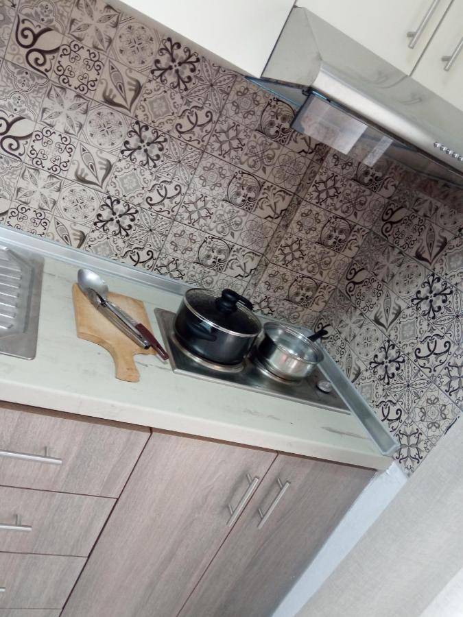 Stefiniki Apartment Psakoudia Ngoại thất bức ảnh